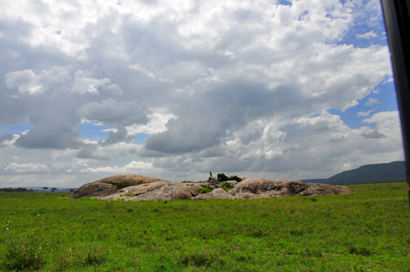 Melanie Heinrich Travel Images Africa